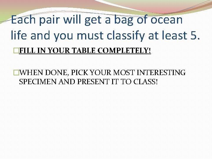 Each pair will get a bag of ocean life and you must classify at