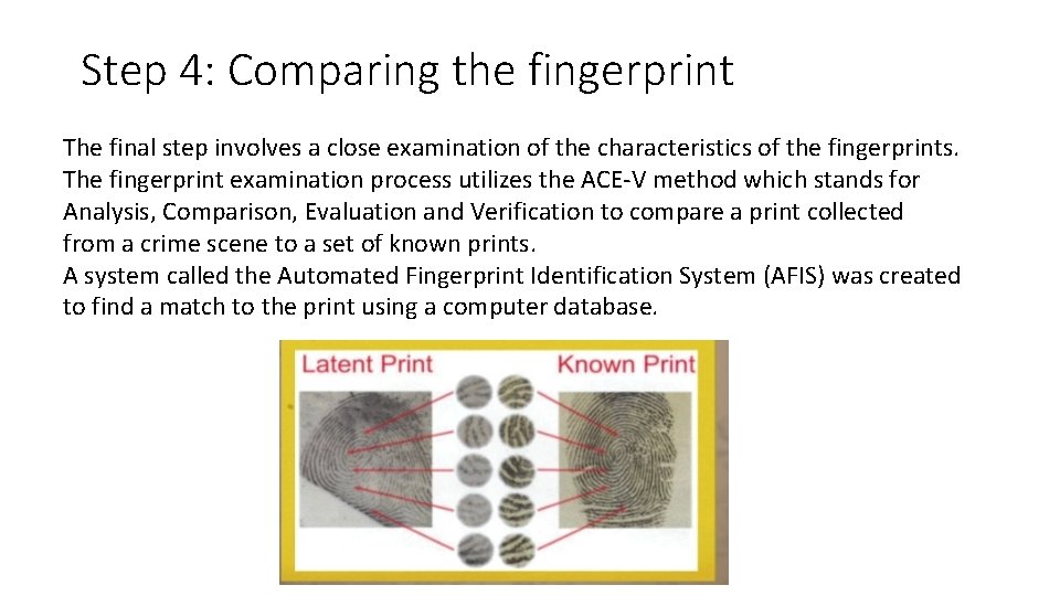 Step 4: Comparing the fingerprint The final step involves a close examination of the