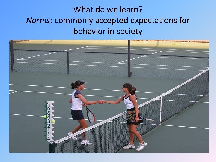 What do we learn? Norms: commonly accepted expectations for behavior in society What do we learn? Norms: commonly accepted expectations for behavior in society