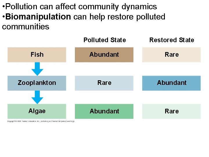  • Pollution can affect community dynamics • Biomanipulation can help restore polluted communities