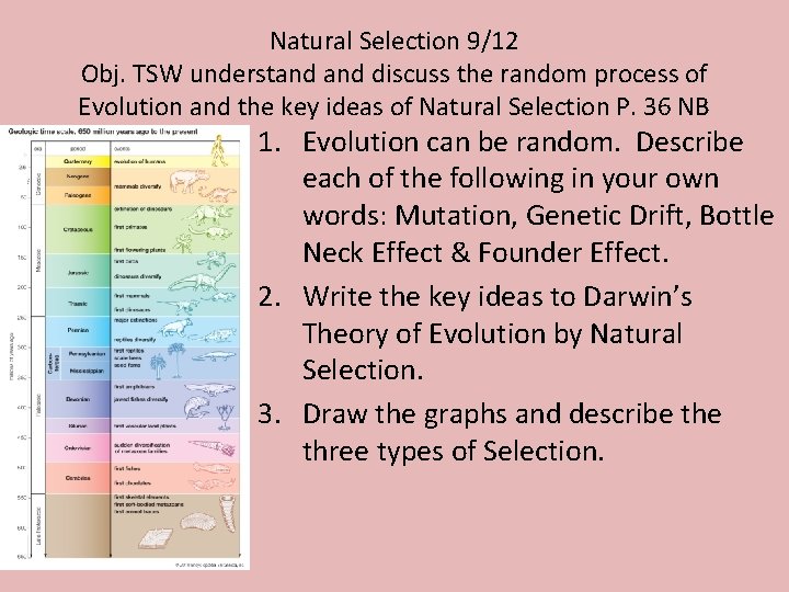 Evolution In Random Process APES Evolution http evolution berkeley eduevolib raryarticleevo01 Evolution