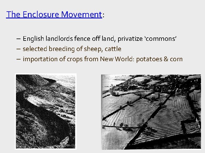 The Enclosure Movement: – English landlords fence off land, privatize ‘commons’ – selected breeding