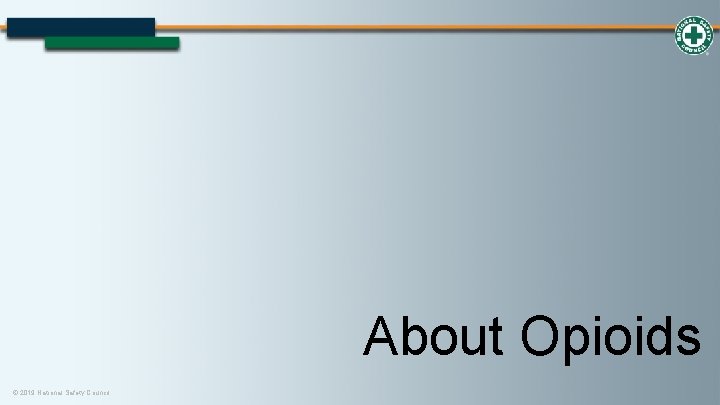About Opioids © 2019 National Safety Council 