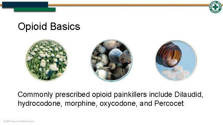 Opioid Basics Commonly prescribed opioid painkillers include Dilaudid, hydrocodone, morphine, oxycodone, and Percocet ©