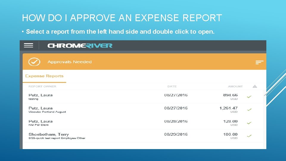 HOW DO I APPROVE AN EXPENSE REPORT • Select a report from the left