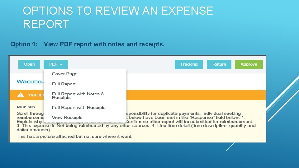 OPTIONS TO REVIEW AN EXPENSE REPORT Option 1: View PDF report with notes and