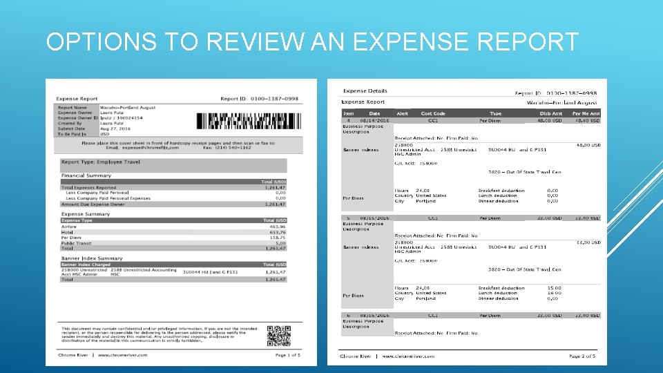 OPTIONS TO REVIEW AN EXPENSE REPORT 