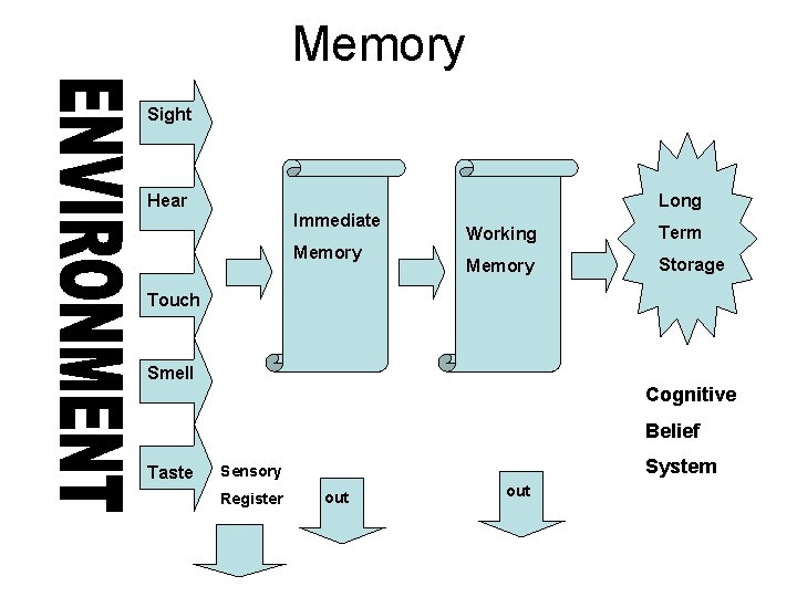Memory Sight Hear Long Immediate Memory Working Term Memory Storage Touch Smell Cognitive Belief