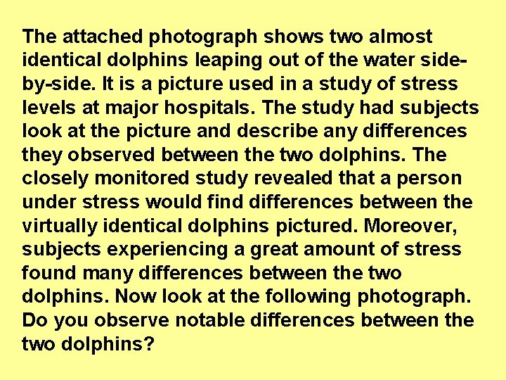 The attached photograph shows two almost identical dolphins leaping out of the water sideby-side.