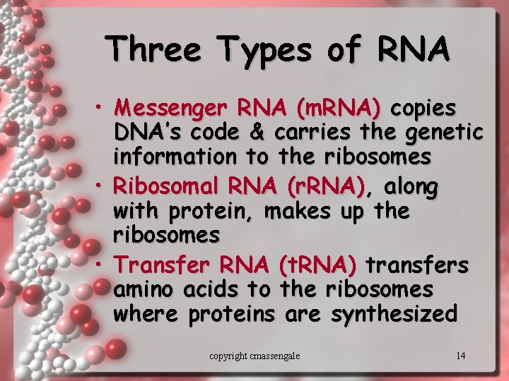 . Three Types of RNA • Messenger RNA (m. RNA) copies DNA’s code &