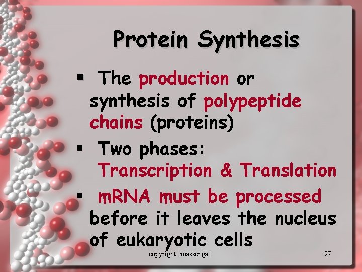 Protein Synthesis § The production or synthesis of polypeptide chains (proteins) § Two phases: