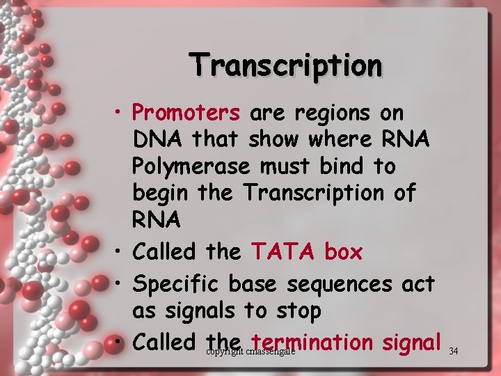 Transcription • Promoters are regions on DNA that show where RNA Polymerase must bind