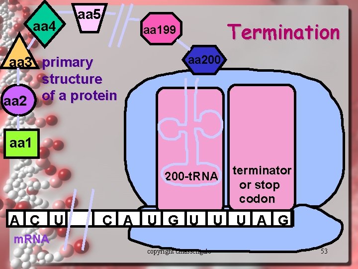 aa 4 aa 5 Termination aa 199 aa 3 primary structure aa 2 of