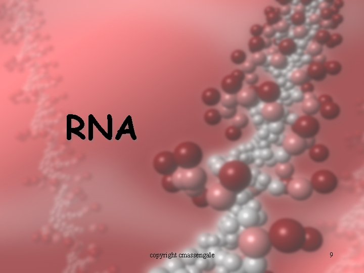 RNA copyright cmassengale 9 