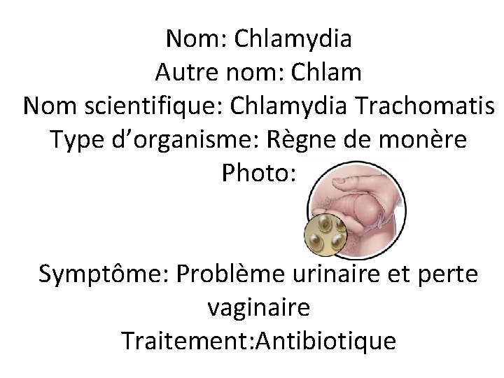 Nom: Chlamydia Autre nom: Chlam Nom scientifique: Chlamydia Trachomatis Type d’organisme: Règne de monère