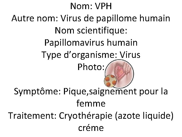 Nom: VPH Autre nom: Virus de papillome humain Nom scientifique: Papillomavirus humain Type d’organisme: