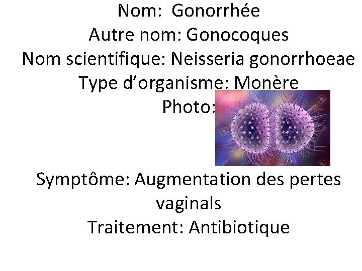 Nom: Gonorrhée Autre nom: Gonocoques Nom scientifique: Neisseria gonorrhoeae Type d’organisme: Monère Photo: Symptôme:
