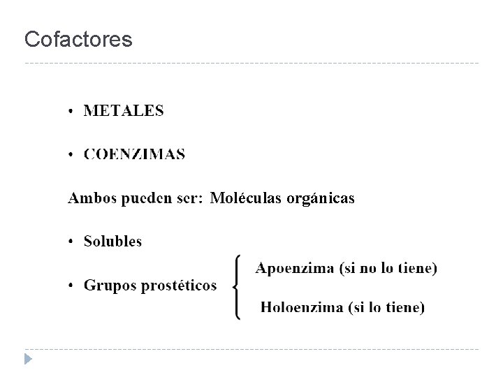 Cofactores Moléculas orgánicas 