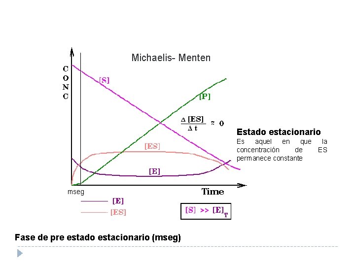 Michaelis- Menten Estado estacionario Es aquel en que la concentración de ES permanece constante