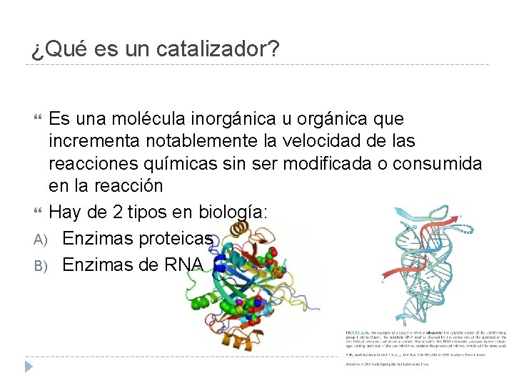 ¿Qué es un catalizador? Es una molécula inorgánica u orgánica que incrementa notablemente la