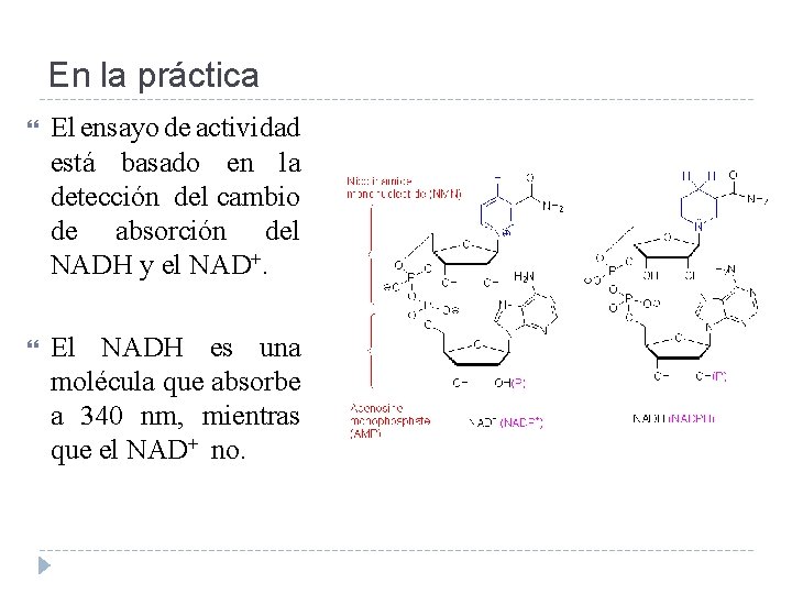 En la práctica El ensayo de actividad está basado en la detección del cambio