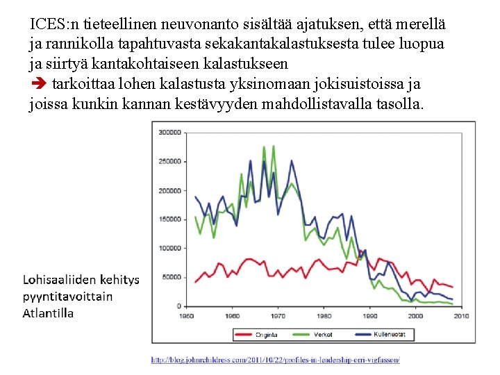 ICES: n tieteellinen neuvonanto sisältää ajatuksen, että merellä ja rannikolla tapahtuvasta sekakantakalastuksesta tulee luopua