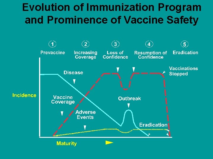 Evolution of Immunization Program and Prominence of Vaccine Safety 