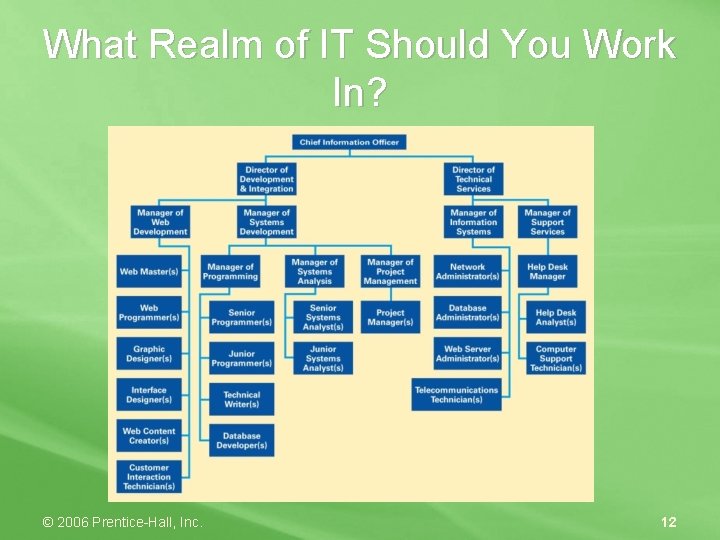 What Realm of IT Should You Work In? © 2006 Prentice-Hall, Inc. 12 