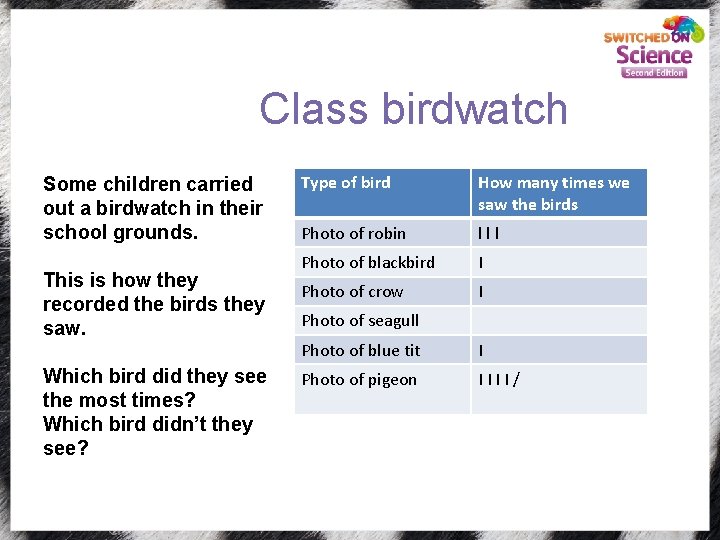 Class birdwatch Some children carried out a birdwatch in their school grounds. This is