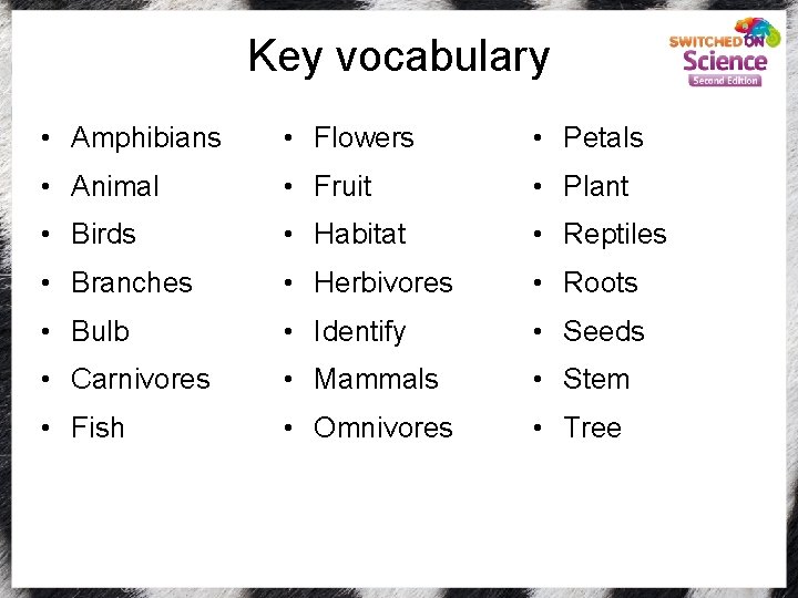 Key vocabulary • Amphibians • Flowers • Petals • Animal • Fruit • Plant