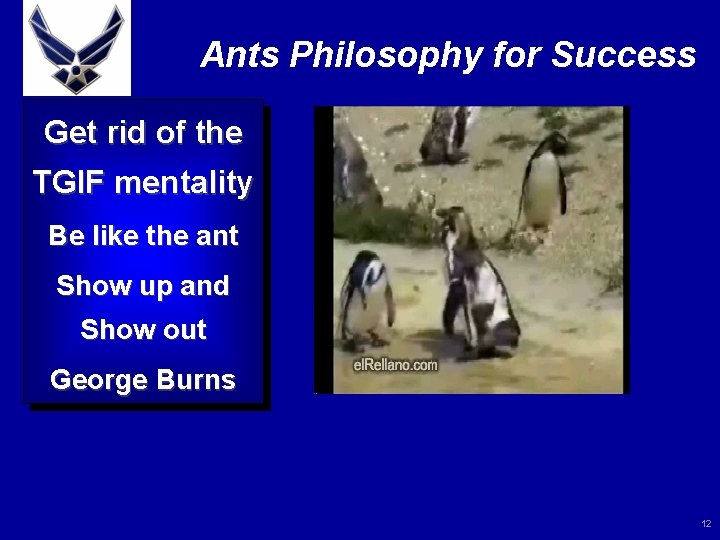 Ants Philosophy for Success Get rid of the TGIF mentality Be like the ant
