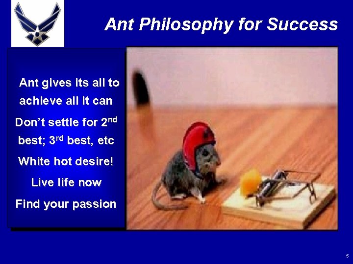 Ant Philosophy for Success Ant gives its all to achieve all it can Don’t