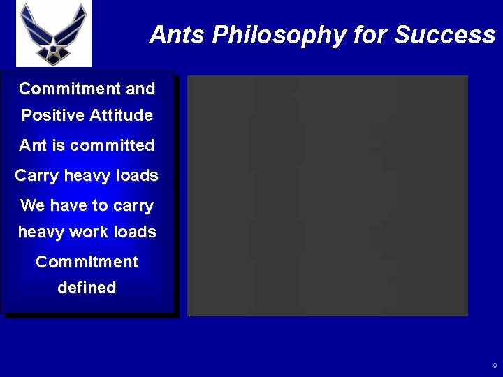 Ants Philosophy for Success Commitment and Positive Attitude Ant is committed Carry heavy loads