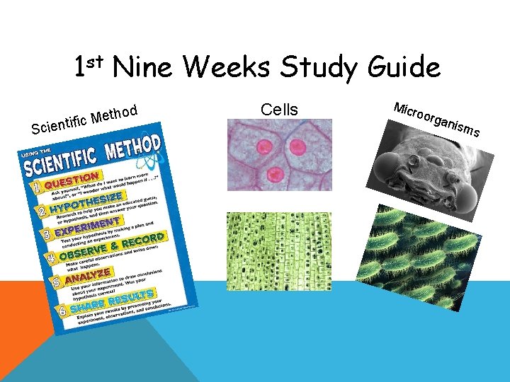 1 st Nine Weeks Study Guide ific Scient d Metho Cells Micr oorg anis