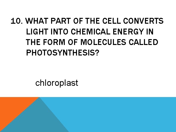 10. WHAT PART OF THE CELL CONVERTS LIGHT INTO CHEMICAL ENERGY IN THE FORM