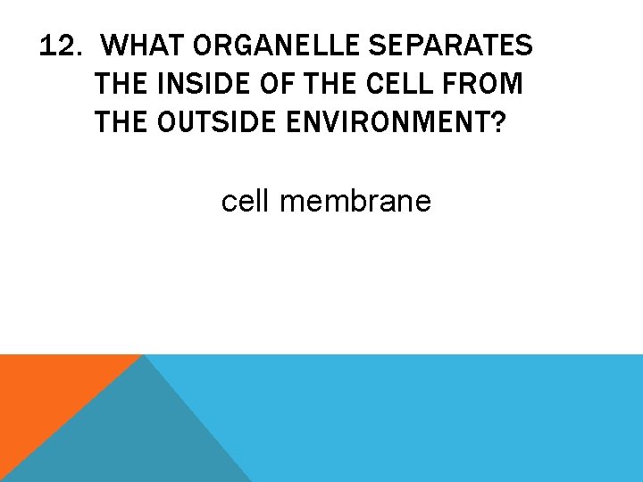 12. WHAT ORGANELLE SEPARATES THE INSIDE OF THE CELL FROM THE OUTSIDE ENVIRONMENT? cell