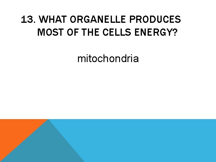 13. WHAT ORGANELLE PRODUCES MOST OF THE CELLS ENERGY? mitochondria 