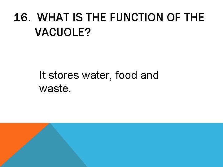 16. WHAT IS THE FUNCTION OF THE VACUOLE? It stores water, food and waste.