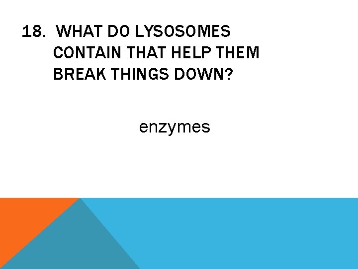 18. WHAT DO LYSOSOMES CONTAIN THAT HELP THEM BREAK THINGS DOWN? enzymes 