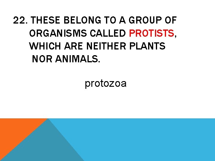 22. THESE BELONG TO A GROUP OF ORGANISMS CALLED PROTISTS, WHICH ARE NEITHER PLANTS