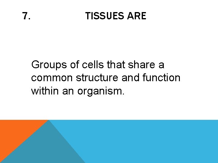 7. TISSUES ARE Groups of cells that share a common structure and function within