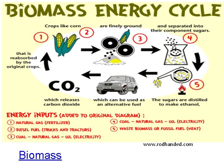 www. rodhanded. com Biomass 