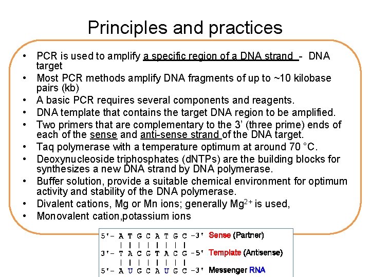 Principles and practices • PCR is used to amplify a specific region of a