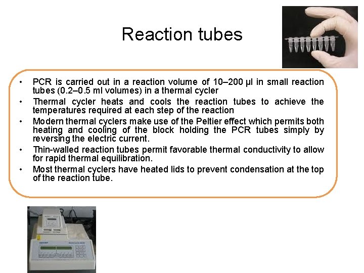 Reaction tubes • • • PCR is carried out in a reaction volume of