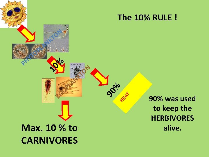 The 10% RULE ! N O T Max. 10 % to CARNIVORES AT ZO