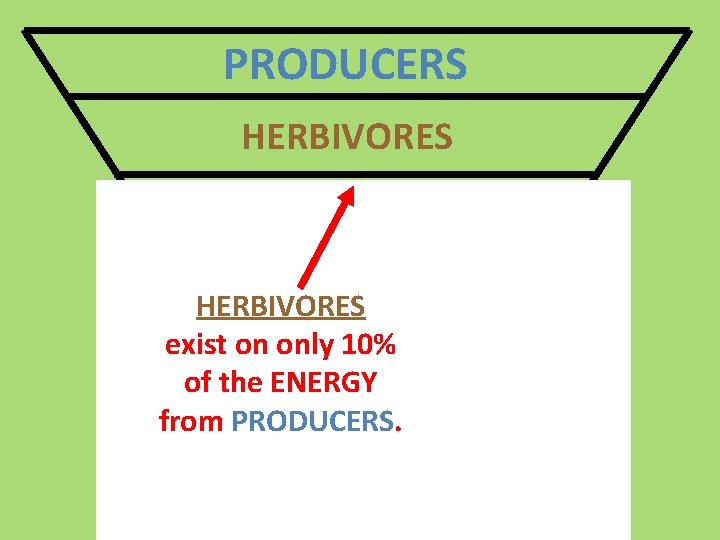 PRODUCERS HERBIVORES 1 st Order CARNIVORES HERBIVORES 2 nd Order exist on. CARNIVORES only