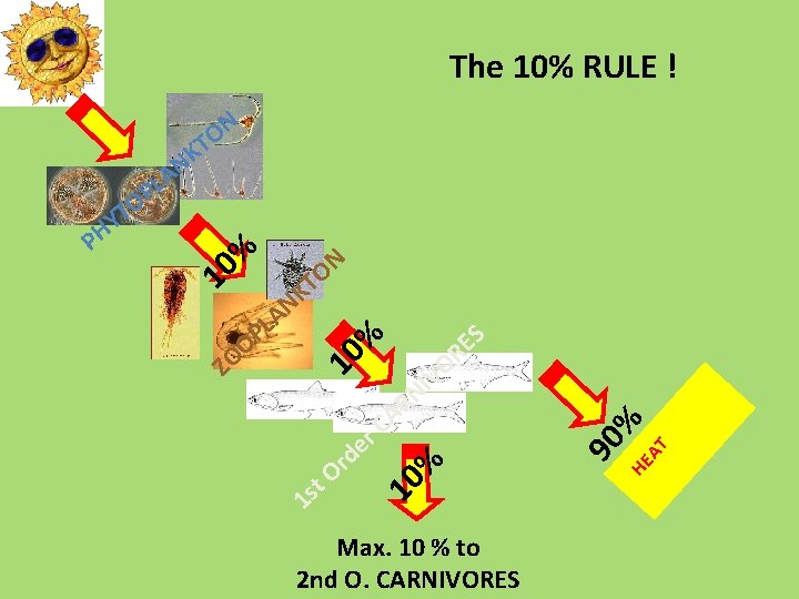 The 10% RULE ! N O T A C r 10 % 1 s