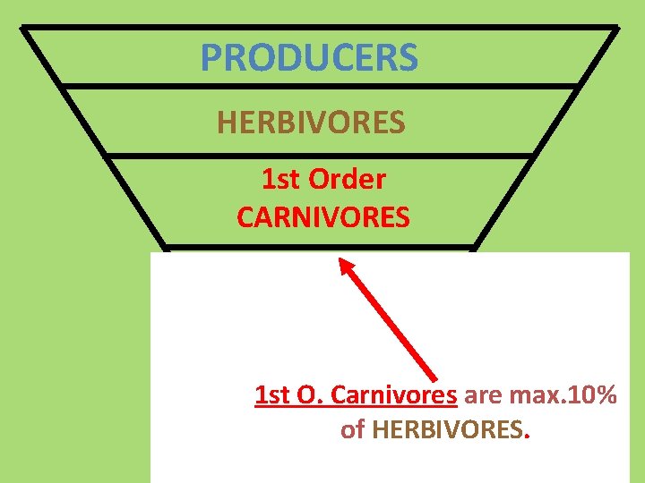 PRODUCERS HERBIVORES 1 st Order CARNIVORES 2 nd Order CARNIVORES 3 rd. O. Order