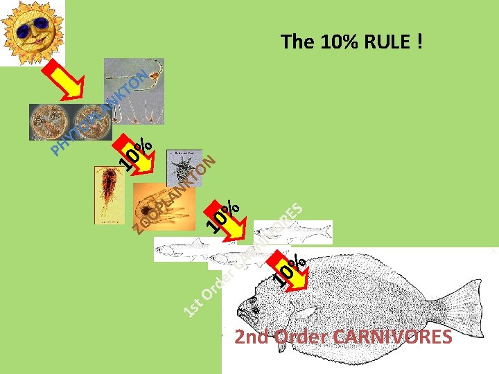 The 10% RULE ! N O T % N O T 10 K N
