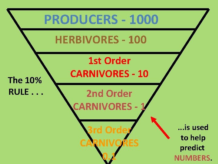 PRODUCERS - 1000 HERBIVORES - 100 The 10% RULE. . . 1 st Order